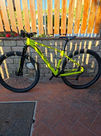 Used Specialized Rockhopper Expert 29 2017 2017 MTB