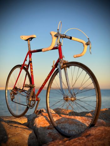 Used Olmo Custom Campagnolo Super Record 1980 Road & Gravel