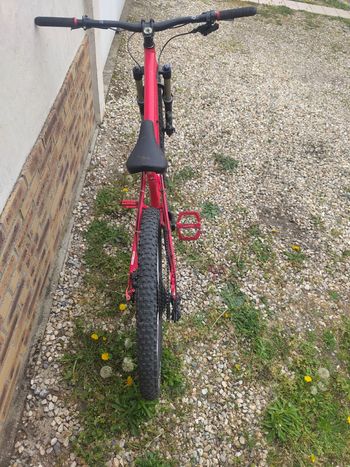 Used Commencal Commencal Absolut Sx 2011 Mountainbike, Red — image 3 of 8