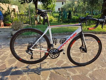 Brugt Cannondale Synapse Hi-MOD Disc Ultegra Di2 2017 2017 Road & Gravel