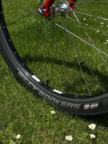 Used Specialized Rockhopper Sport 1991 Road & Gravel — image 12 of 12