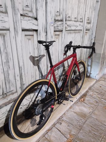 Used Trek Émonda ALR Disc Frameset 2026 Frameset 2026 Road & Gravel, Rot — image 3 of 6