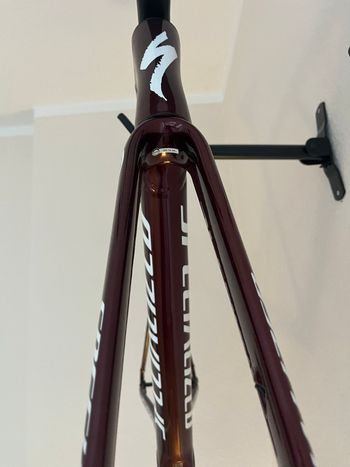 Used Specialized Allez Sprint Frameset 2025 Frameset 2025 Road & Gravel, Rot — image 2 of 7