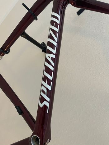 Used Specialized Allez Sprint Frameset 2025 Frameset 2025 Road & Gravel, Rot — image 5 of 7