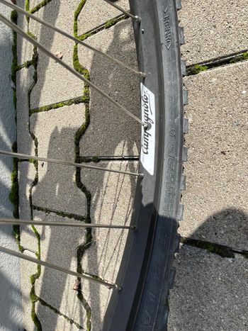Used Colnago Colnago Custom Shimano Deore XT 1997 Mountainbike, Light Gray — image 12 of 18