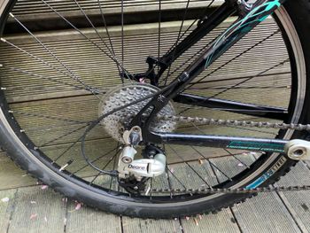 Used Trek Trek 4500 WSD 2008 2008 Mountainbike, Grün — image 2 of 5