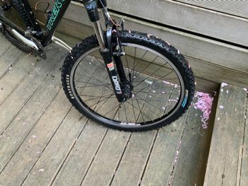 Used Trek Trek 4500 WSD 2008 2008 Mountainbike, Grün — image 5 of 5