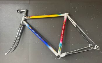 Used Daccordi Daccordi Custom Frameset 2000 Road & Gravel