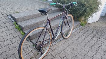 Used Giant Giant Custom 1996 Urban — image 6 of 6