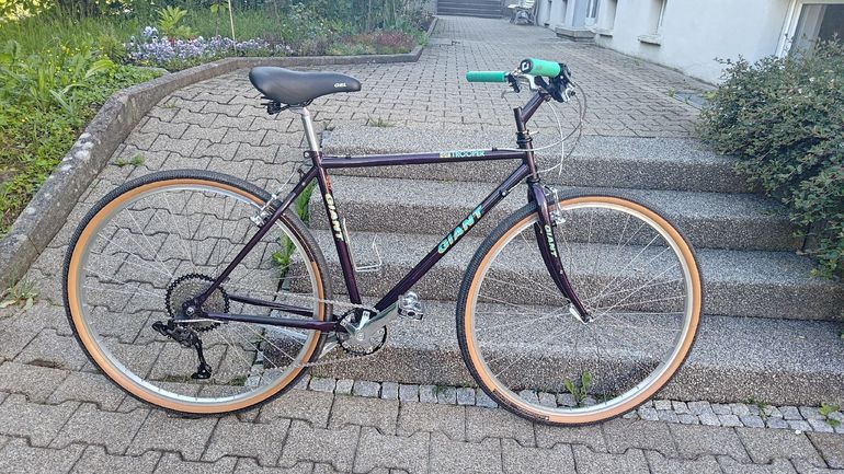 Used Giant Giant Custom 1996 Urban — image 1 of 6