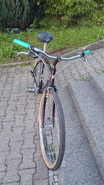 Used Giant Giant Custom 1996 Urban — image 5 of 6