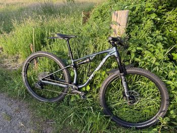 Used Specialized Chisel Comp 2025 2025 MTB