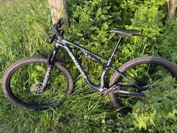 Used Specialized Chisel Comp 2025 2025 Mountainbike, Black, 29 — image 10 of 14