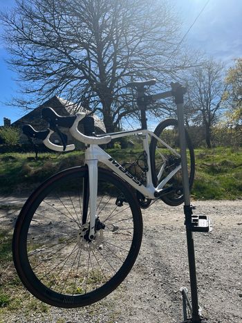 Used Massi Massi Custom Shimano 105 2023 Road & Gravel, White — image 2 of 8