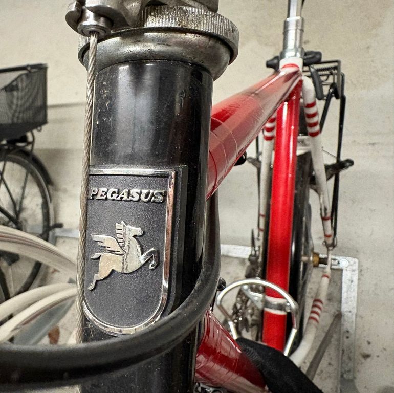 Used Pegasus Swing Shimano 105 2022 Road & Gravel, Rot — image 4 of 6