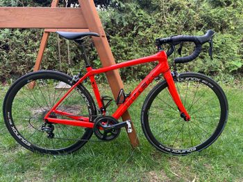 Used Trek Domane Shimano Ultegra 2015 Road & Gravel