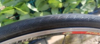 Used SCAPIN Scapin Alko-s6 Campagnolo veloce 2007 Road & Gravel, White — image 19 of 19