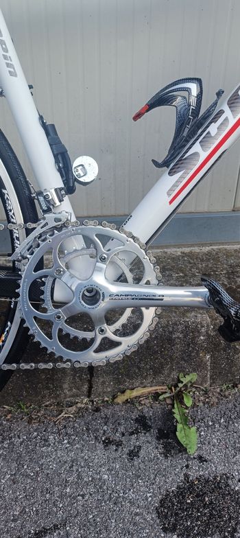 Used SCAPIN SCAPIN Custom Campagnolo Veloce 2007 Road & Gravel, White — image 6 of 6