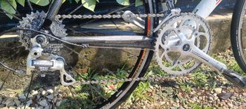 Used SCAPIN Scapin Alko-s6 Campagnolo veloce 2007 Road & Gravel, White — image 13 of 19