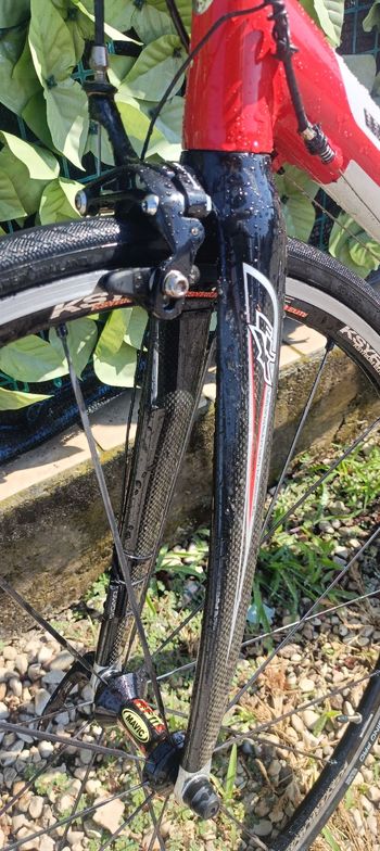 Used SCAPIN Scapin Alko-s6 Campagnolo veloce 2007 Road & Gravel, White — image 9 of 19