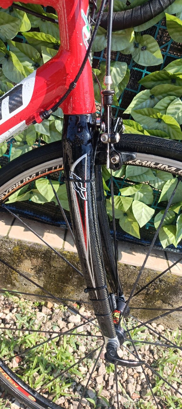 Used SCAPIN Scapin Alko-s6 Campagnolo veloce 2007 Road & Gravel, White — image 15 of 19