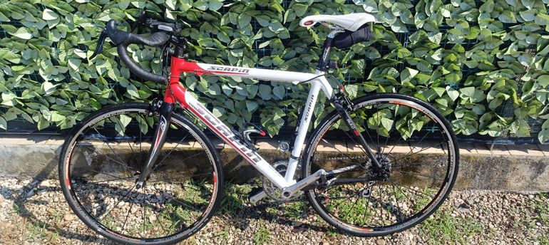 Used SCAPIN Scapin Alko-s6 Campagnolo veloce 2007 Road & Gravel, White — image 5 of 19
