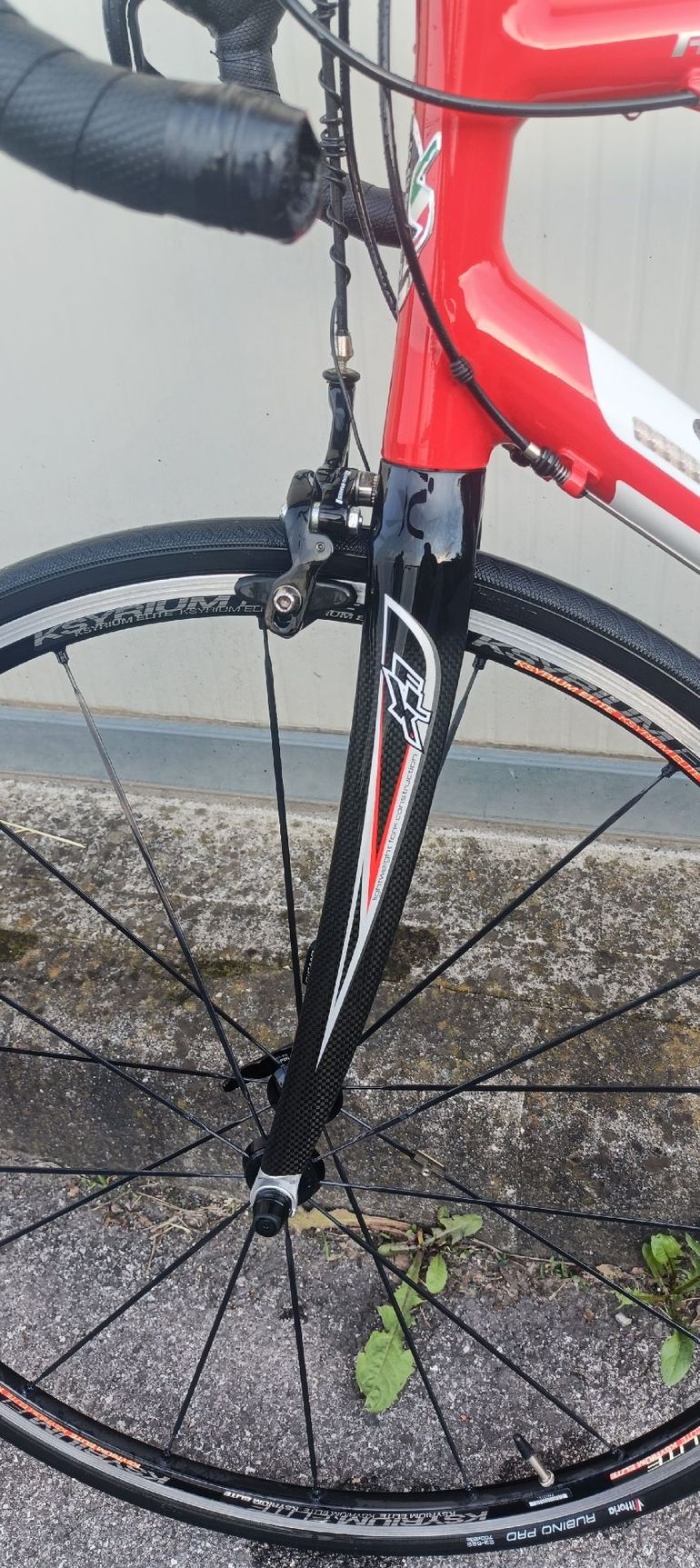 Used SCAPIN SCAPIN Custom Campagnolo Veloce 2007 Road & Gravel, White — image 4 of 6