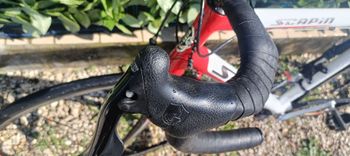 Used SCAPIN Scapin Alko-s6 Campagnolo veloce 2007 Road & Gravel, White — image 11 of 19