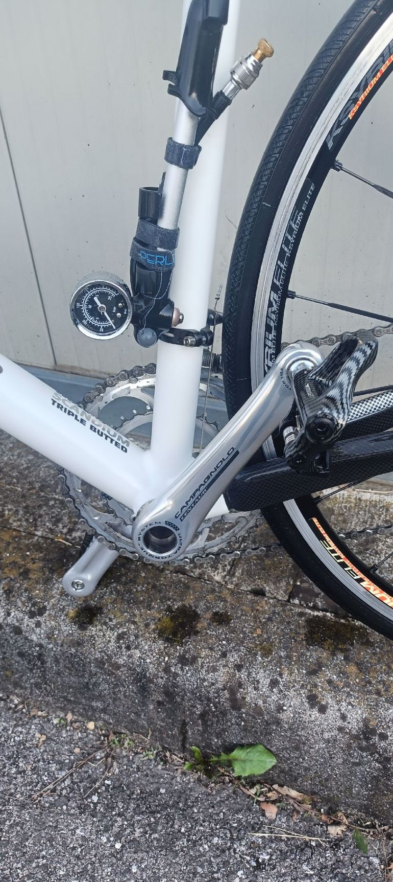 Used SCAPIN SCAPIN Custom Campagnolo Veloce 2007 Road & Gravel, White — image 5 of 6