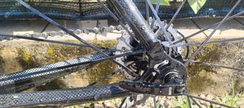 Used SCAPIN Scapin Alko-s6 Campagnolo veloce 2007 Road & Gravel, White — image 7 of 19
