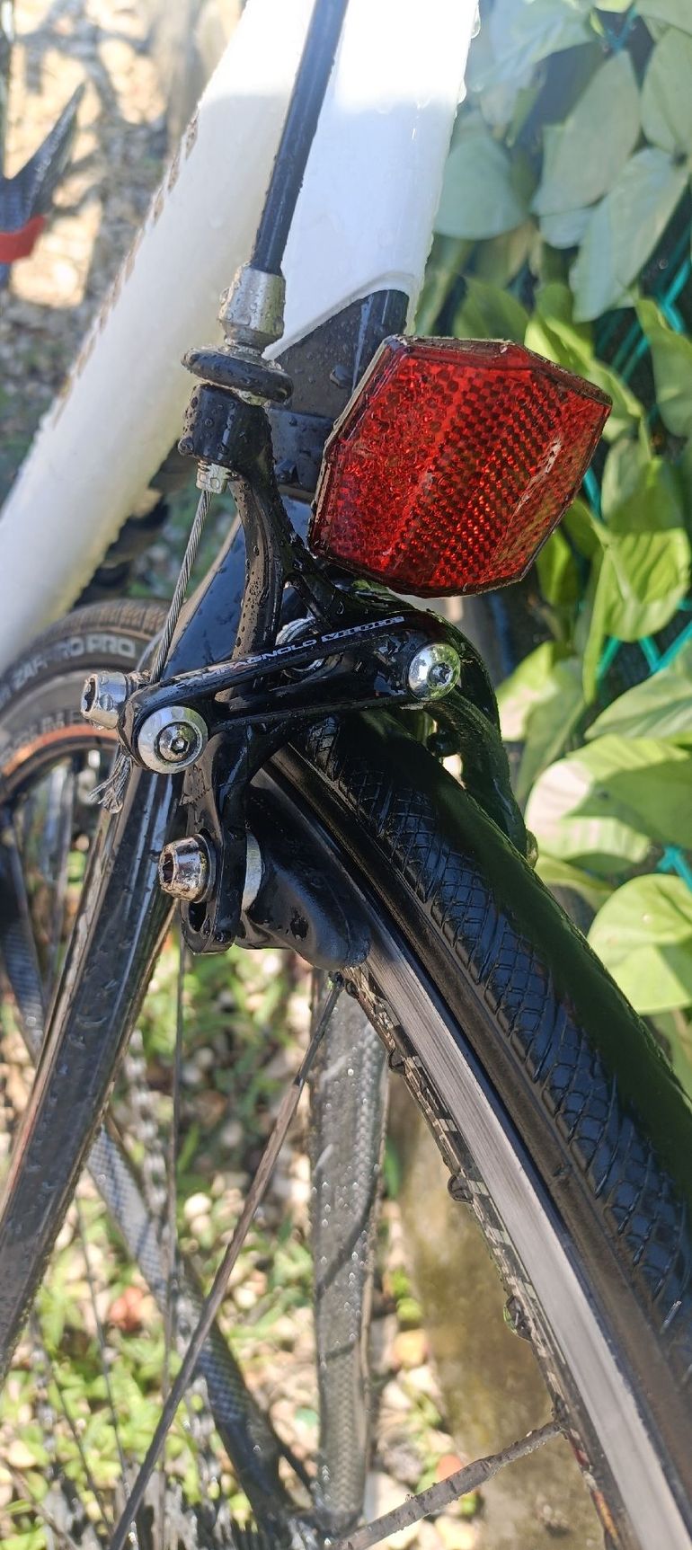Used SCAPIN Scapin Alko-s6 Campagnolo veloce 2007 Road & Gravel, White — image 8 of 19