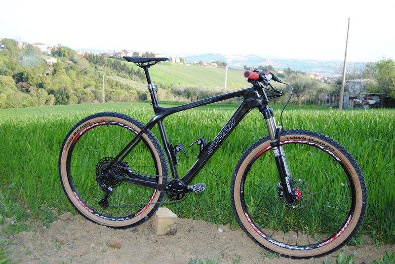 Used FRW Custom SRAM NX Eagle 2018 MTB