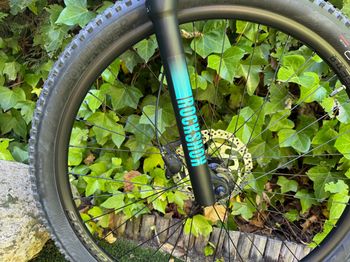 Used Trek Trek Marlin 7 29 2024 2024 Mountainbike, Blue — image 6 of 8