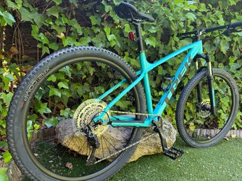 Used Trek Trek Marlin 7 29 2024 2024 Mountainbike, Blue — image 3 of 8