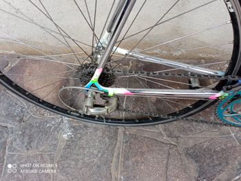 Used Colnago Tecnos Shimano Ultegra 1997 Road & Gravel — image 3 of 5