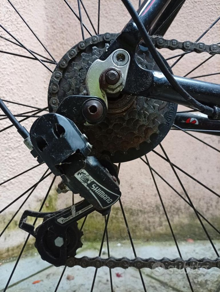Used Coppi Telaio Coppi Da Corsa Carbonio Urban, Weiß — image 2 of 6