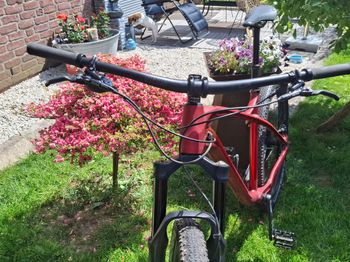 Used Alutech CheapTrick 29 2021 2021 Mountainbike — image 4 of 8