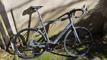 Used Canyon Endurace 7 RAW 2024 2024 Road & Gravel
