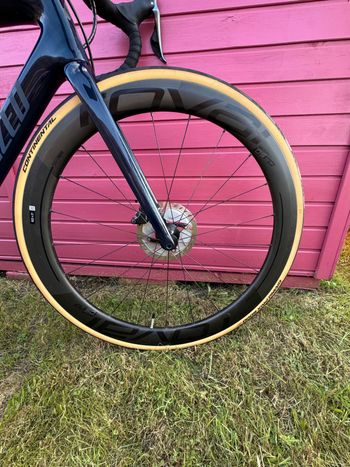 Used Specialized S-Works Tarmac SL6 Disc - Dura Ace Di2 2019 2019 Road & Gravel — image 16 of 18