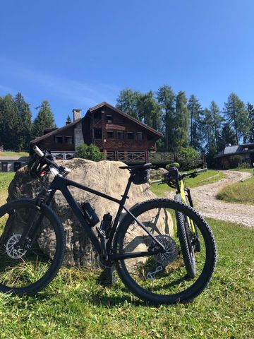 Brugt CUBE REACTION C:62 SLT 2020 2020 Mountainbike — billede 2 af 5