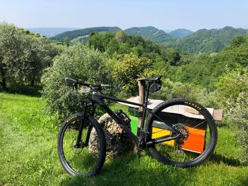 Brugt CUBE REACTION C:62 SLT 2020 2020 Mountainbike — billede 3 af 5