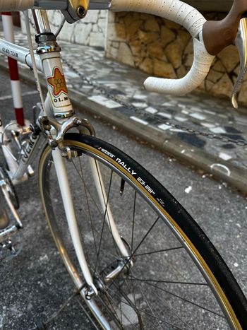 Used Olmo Olmo Custom Other Campagnolo 1982 Road & Gravel, White — image 9 of 9