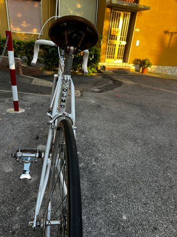 Used Olmo Olmo Custom Other Campagnolo 1982 Road & Gravel, White — image 7 of 9