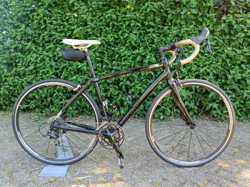 Used Trek Lexa SLX (Compact) 2013 2013 Road & Gravel