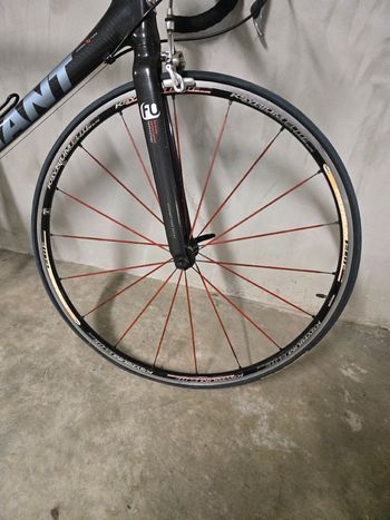 Used Giant Giant TCR 2.O Composite 2006 Road & Gravel — image 4 of 6