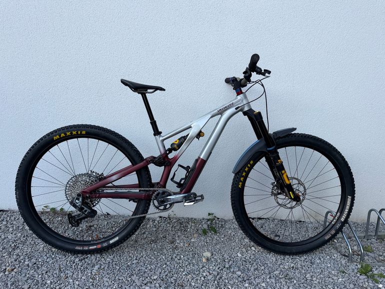 Used Specialized Stumpjumper EVO SRAM GX Eagle AXS (T-Type) 2024 Mountainbike, Light Gray — image 1 of 7
