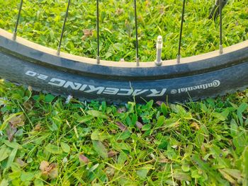 Used Orbea MX 30 29 2018 2018 Mountainbike, Black, 29 — image 2 of 6