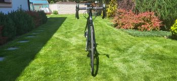 Used Cannondale Synapse Carbon Disc Women's Ultegra 2018 2018 Road & Gravel, Black — image 2 of 8