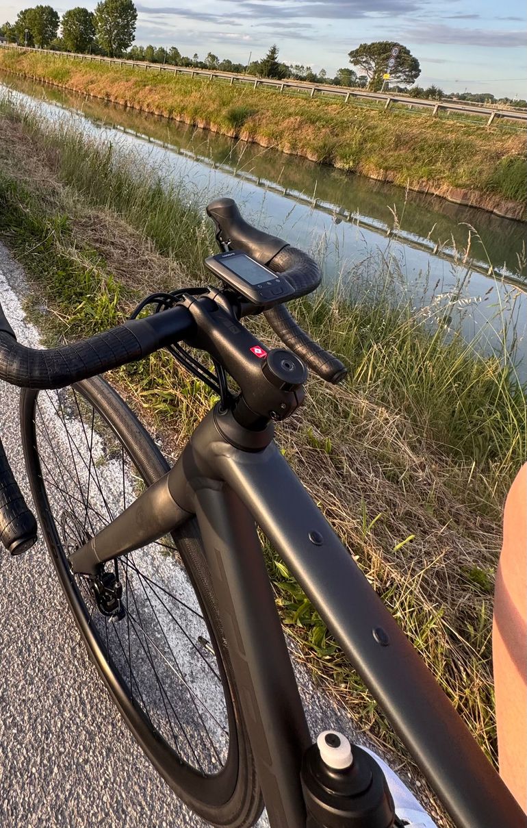 Used Trek Domane AL 2 Gen 4 2026 2026 Road & Gravel — image 3 of 4