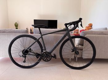 Used Trek Domane AL 2 Gen 4 2026 2026 Road & Gravel